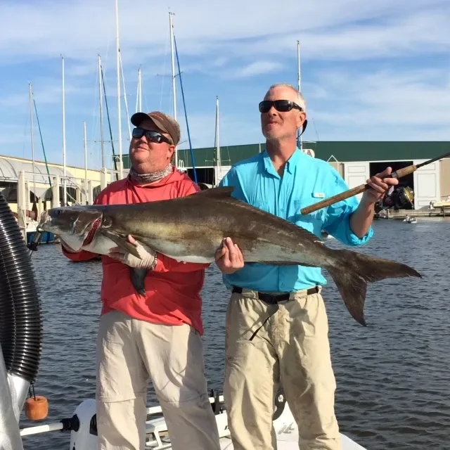 Captain Mike with a shark catch