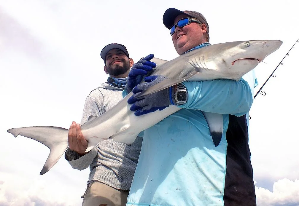 Blacktip shark catch
