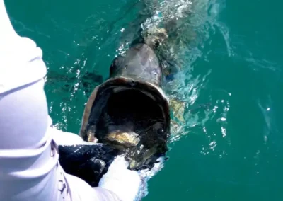 Boca Grande Fishing Charters 60