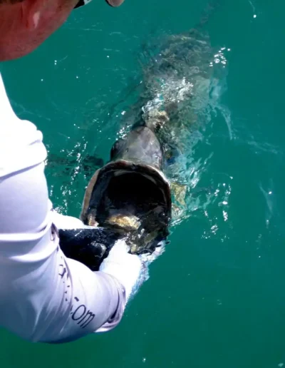 Boca Grande Fishing Charters 60