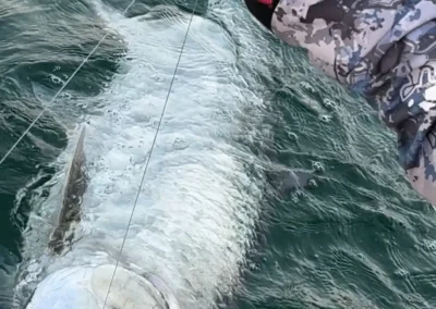 Boca Grande Fishing Charters 39