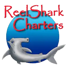 Reel Shark Charters I Boca Grande Fishing Charters 